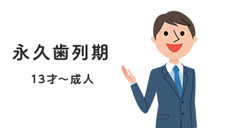 永久歯列期 13才～成人
