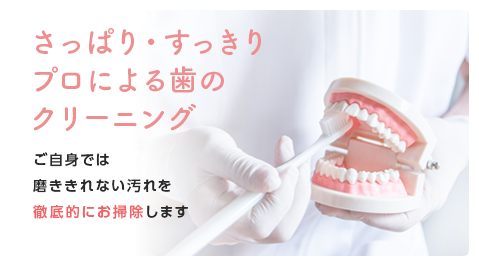 さっぱり・すっきりプロによる歯のクリーニング